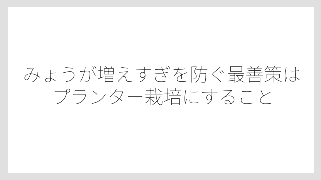 みょうが増えすぎを防ぐ最善策はプランター栽培にすること