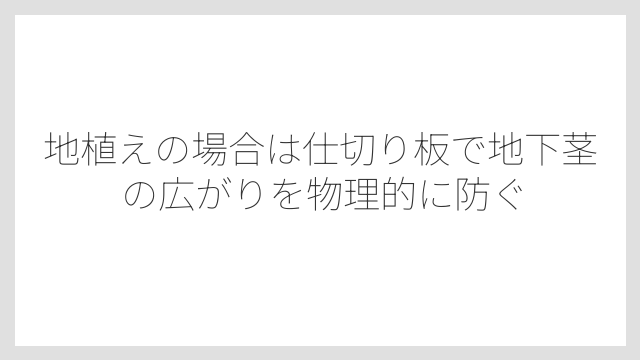 地植えの場合は仕切り板で地下茎の広がりを物理的に防ぐ