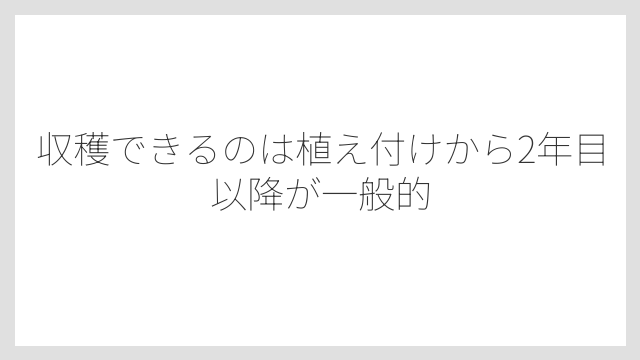 収穫できるのは植え付けから2年目以降が一般的