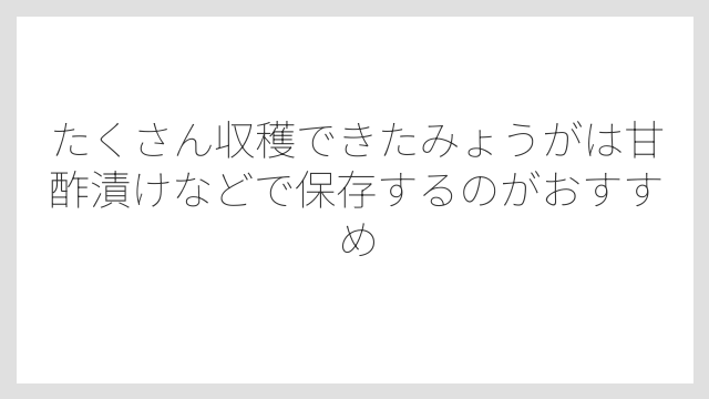 たくさん収穫できたみょうがは甘酢漬けなどで保存するのがおすすめ