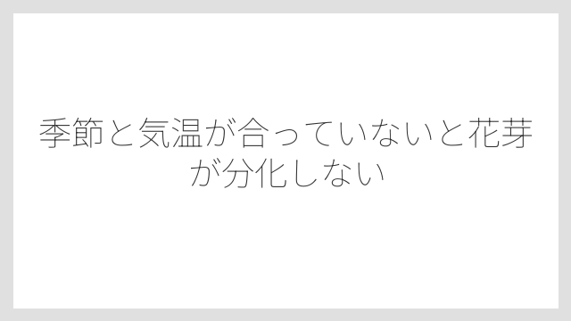 季節と気温が合っていないと花芽が分化しない