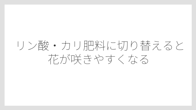 リン酸・カリ肥料に切り替えると花が咲きやすくなる