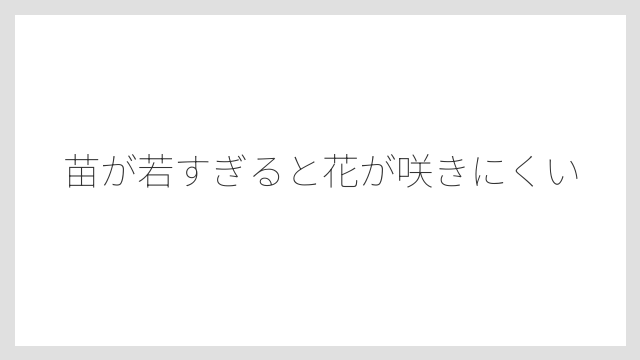 苗が若すぎると花が咲きにくい