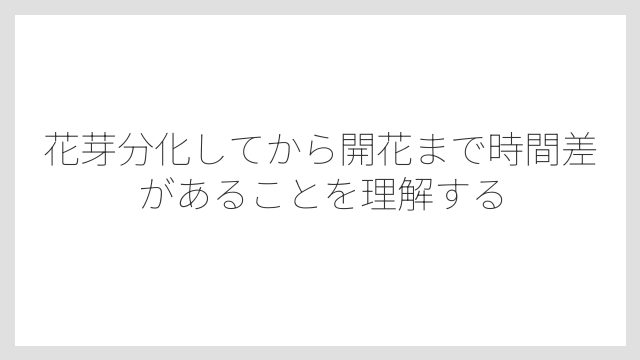 花芽分化してから開花まで時間差があることを理解する