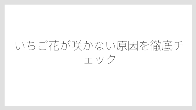 いちご花が咲かない原因を徹底チェック