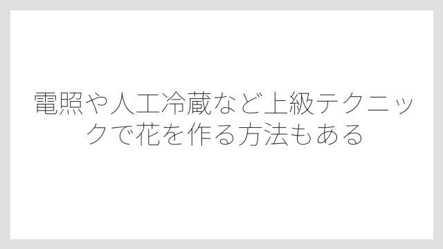 電照や人工冷蔵など上級テクニックで花を作る方法もある