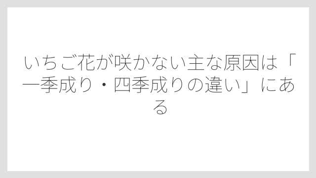 いちご花が咲かない主な原因は「一季成り・四季成りの違い」にある