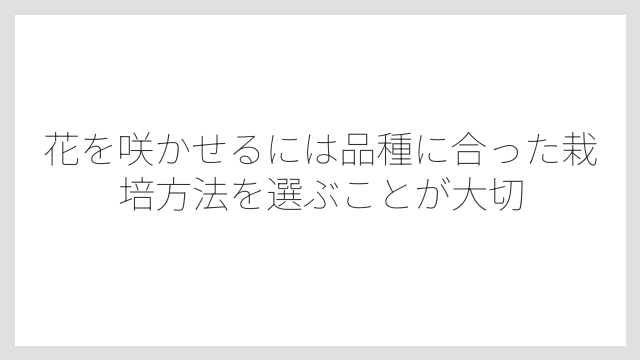 花を咲かせるには品種に合った栽培方法を選ぶことが大切