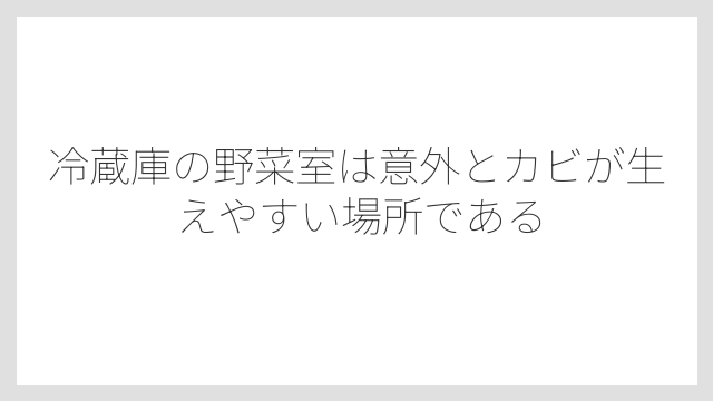 冷蔵庫の野菜室は意外とカビが生えやすい場所である