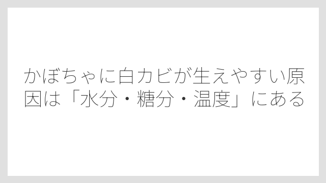 かぼちゃに白カビが生えやすい原因は「水分・糖分・温度」にある