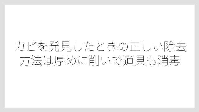 カビを発見したときの正しい除去方法は厚めに削いで道具も消毒