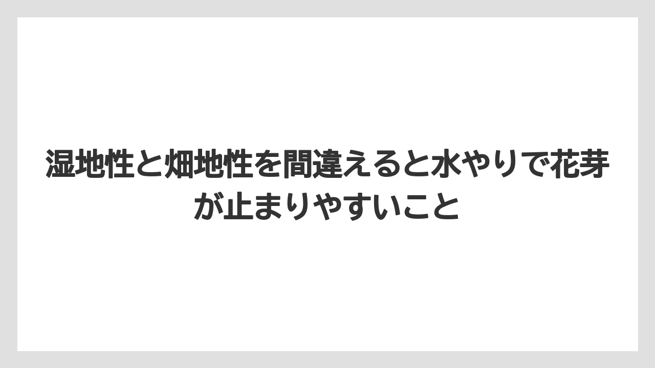 【栽培】【農園】【農業】湿地性と畑地性を間違えると水やりで花芽が止まりやすいこと