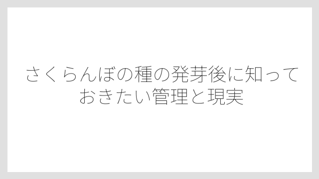 水やりは乾燥させず水没もさせないことが重要