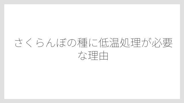 さくらんぼの種に低温処理が必要な理由