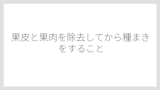 果皮と果肉を除去してから種まきをすること