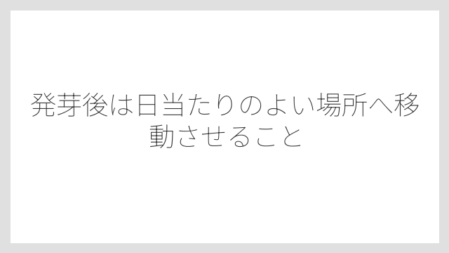 発芽後は日当たりのよい場所へ移動させること