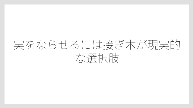 実をならせるには接ぎ木が現実的な選択肢
