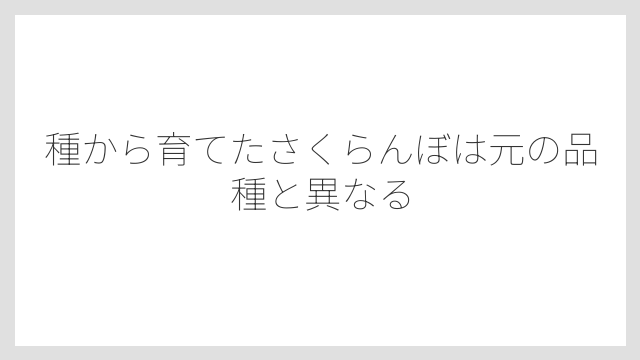 種から育てたさくらんぼは元の品種と異なる