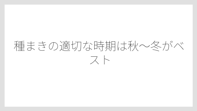 種まきの適切な時期は秋〜冬がベスト