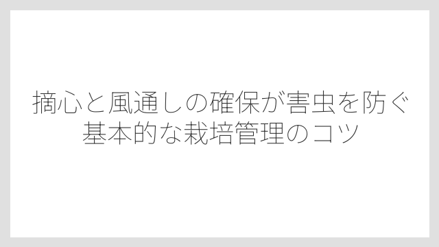 摘心と風通しの確保が害虫を防ぐ基本的な栽培管理のコツ