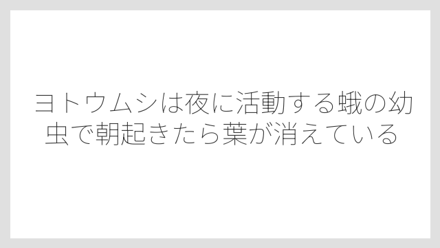 ヨトウムシは夜に活動する蛾の幼虫で朝起きたら葉が消えている