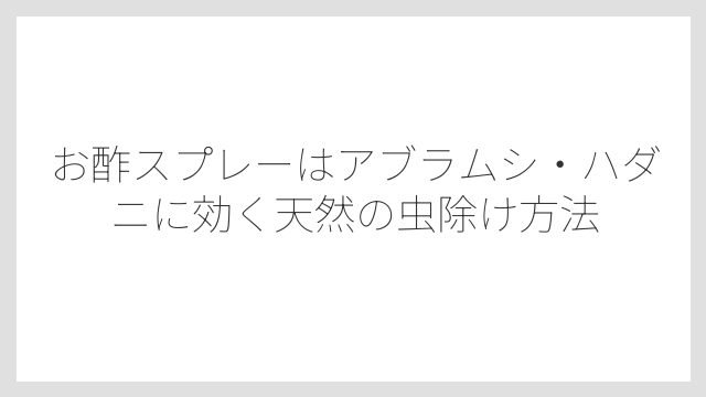 お酢スプレーはアブラムシ・ハダニに効く天然の虫除け方法