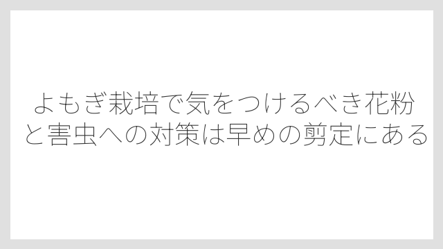 よもぎ栽培で気をつけるべき花粉と害虫への対策は早めの剪定にある