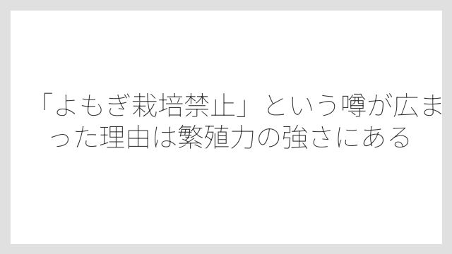 「よもぎ栽培禁止」という噂が広まった理由は繁殖力の強さにある