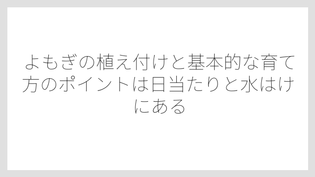 よもぎの植え付けと基本的な育て方のポイントは日当たりと水はけにある
