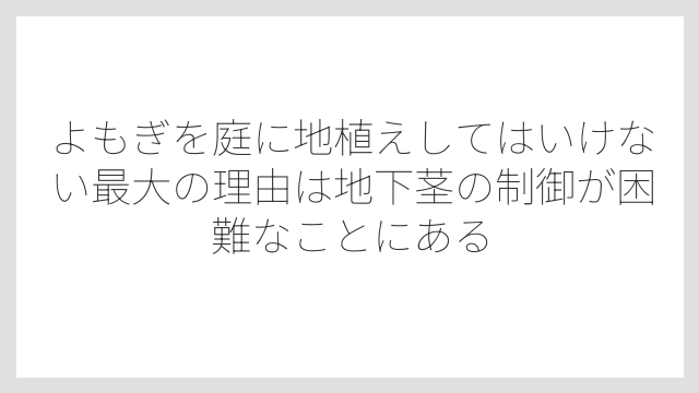 よもぎを庭に地植えしてはいけない最大の理由は地下茎の制御が困難なことにある