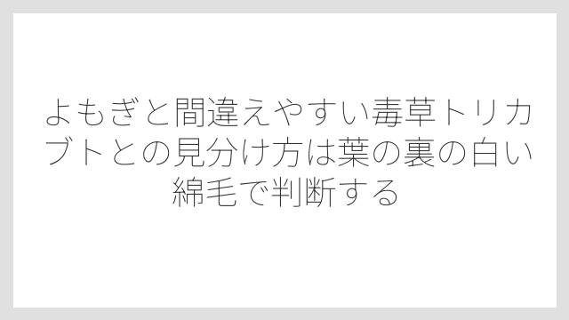 よもぎと間違えやすい毒草トリカブトとの見分け方は葉の裏の白い綿毛で判断する