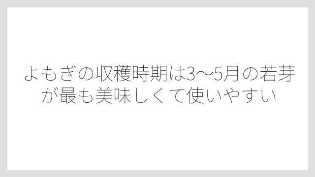 よもぎの収穫時期は3〜5月の若芽が最も美味しくて使いやすい