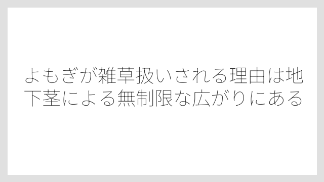 よもぎが雑草扱いされる理由は地下茎による無制限な広がりにある