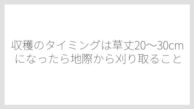 収穫のタイミングは草丈20〜30cmになったら地際から刈り取ること