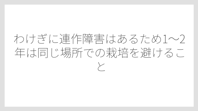 わけぎに連作障害はあるため1〜2年は同じ場所での栽培を避けること