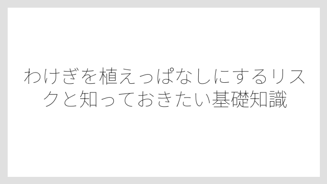 わけぎを植えっぱなしにするリスクと知っておきたい基礎知識