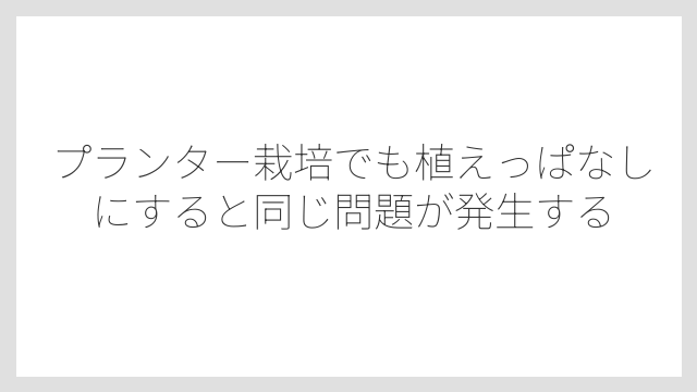 プランター栽培でも植えっぱなしにすると同じ問題が発生する