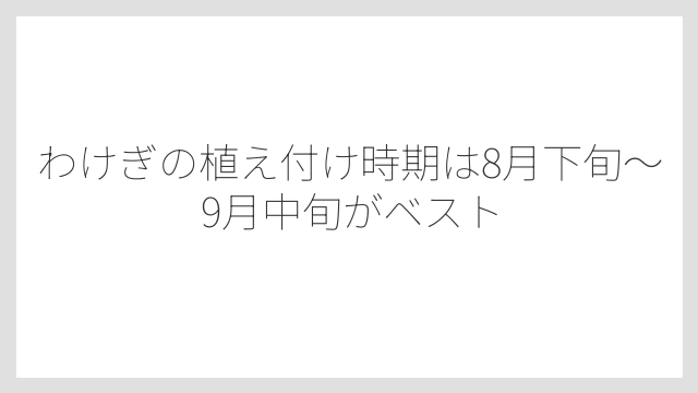 わけぎの植え付け時期は8月下旬〜9月中旬がベスト