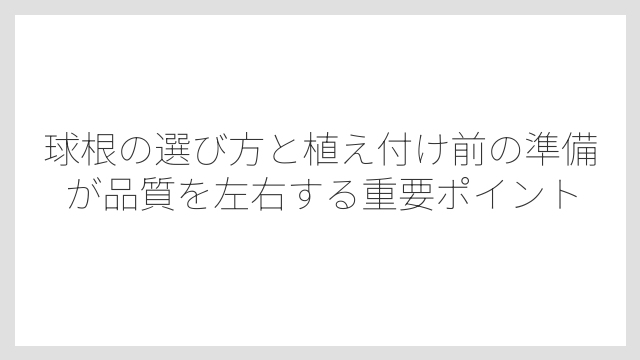 球根の選び方と植え付け前の準備が品質を左右する重要ポイント