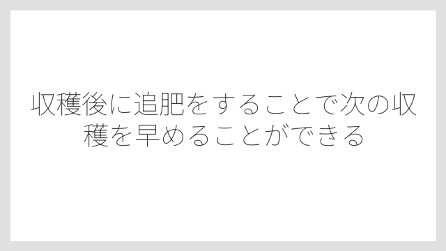 収穫後に追肥をすることで次の収穫を早めることができる