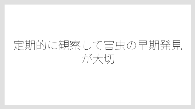 定期的に観察して害虫の早期発見が大切