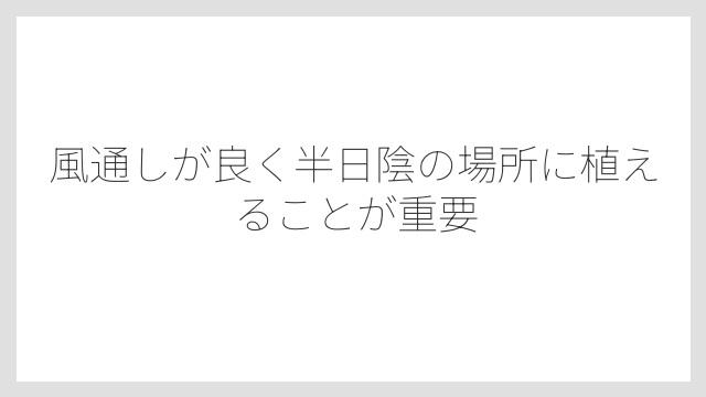 風通しが良く半日陰の場所に植えることが重要
