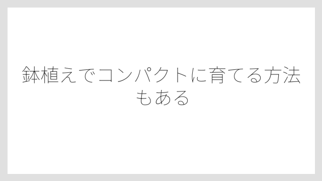 鉢植えでコンパクトに育てる方法もある