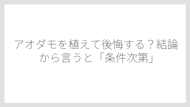 アオダモを植えて後悔する？結論から言うと「条件次第」
