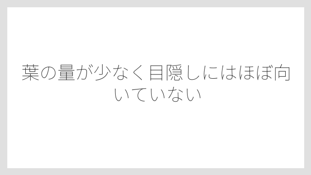 葉の量が少なく目隠しにはほぼ向いていない