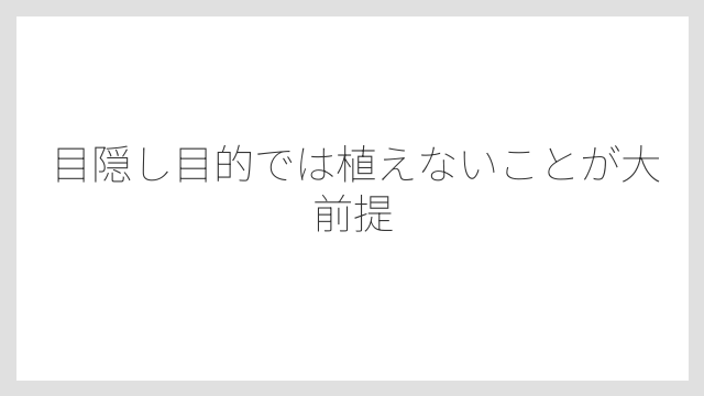 目隠し目的では植えないことが大前提
