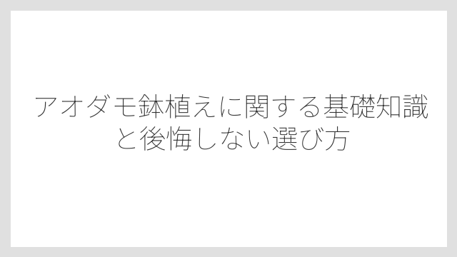 アオダモ鉢植えに関する基礎知識と後悔しない選び方