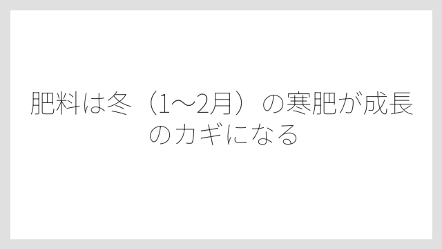 肥料は冬（1〜2月）の寒肥が成長のカギになる