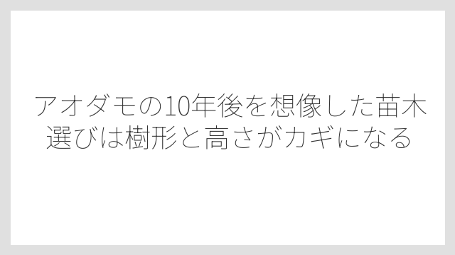 アオダモの10年後を想像した苗木選びは樹形と高さがカギになる