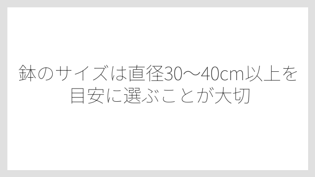 鉢のサイズは直径30〜40cm以上を目安に選ぶことが大切
